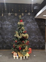 453 x 604 x 181,870oCg