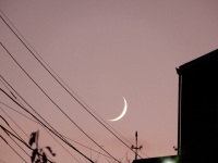 777 x 583 x 110,151oCg