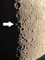 453 x 604 x 503,864�o�C�g