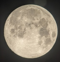 907 x 936 x 208,262�o�C�g �����̉摜�͑傫���̂ŕʉ�ʂŕ\�����܂���