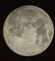 874 x 975 x 271,056�o�C�g �����̉摜�͑傫���̂ŕʉ�ʂŕ\�����܂���