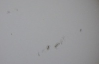 888 x 571 x 73,985�o�C�g