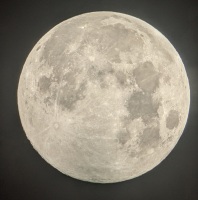 907 x 918 x 191,947�o�C�g �����̉摜�͑傫���̂ŕʉ�ʂŕ\�����܂���