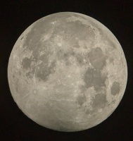 875 x 925 x 240,318�o�C�g �����̉摜�͑傫���̂ŕʉ�ʂŕ\�����܂���