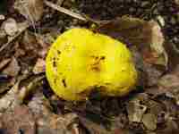 3380 x 2535 x 306,337oCg ̉摜͑傫̂ŕʉʂŕ\܂