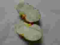 3648 x 2736 x 173,805oCg ̉摜͑傫̂ŕʉʂŕ\܂