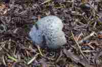 3768 x 2512 x 394,435oCg ̉摜͑傫̂ŕʉʂŕ\܂