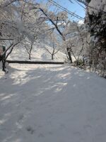 481 x 640 x 72,035�o�C�g