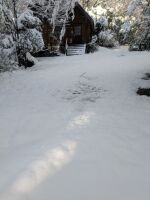 481 x 640 x 51,192�o�C�g