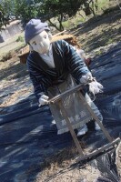 850 x 1275 x 230,139oCg ̉摜͑傫̂ŕʉʂŕ\܂