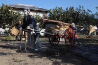 850 x 567 x 134,949oCg