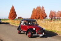 850 x 567 x 108,882oCg