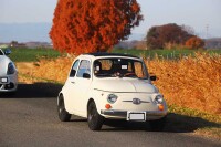 850 x 567 x 93,276oCg