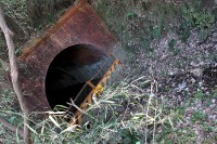 850 x 567 x 255,840�o�C�g