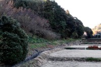 850 x 567 x 170,238�o�C�g