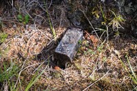 850 x 566 x 203,586�o�C�g