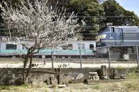 1000 x 666 x 199,652�o�C�g