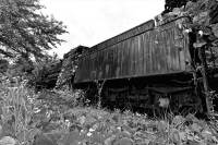 1000 x 666 x 158,901�o�C�g