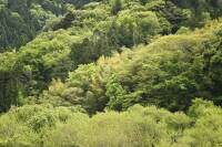 1000 x 666 x 185,480�o�C�g