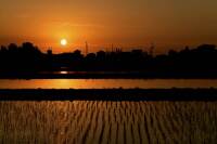 1000 x 666 x 62,292�o�C�g