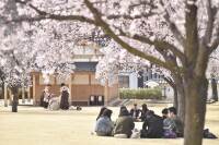 1000 x 666 x 126,027�o�C�g