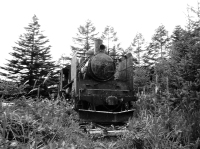 800 x 594 x 322,005�o�C�g