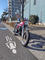 665 x 886 x 365,854�o�C�g �����̉摜�͑傫���̂ŕʉ�ʂŕ\�����܂���