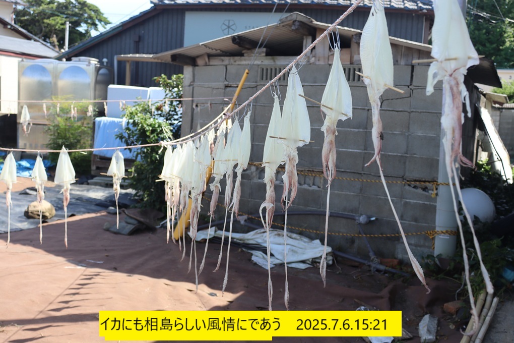 1020x680 (259,273oCg)