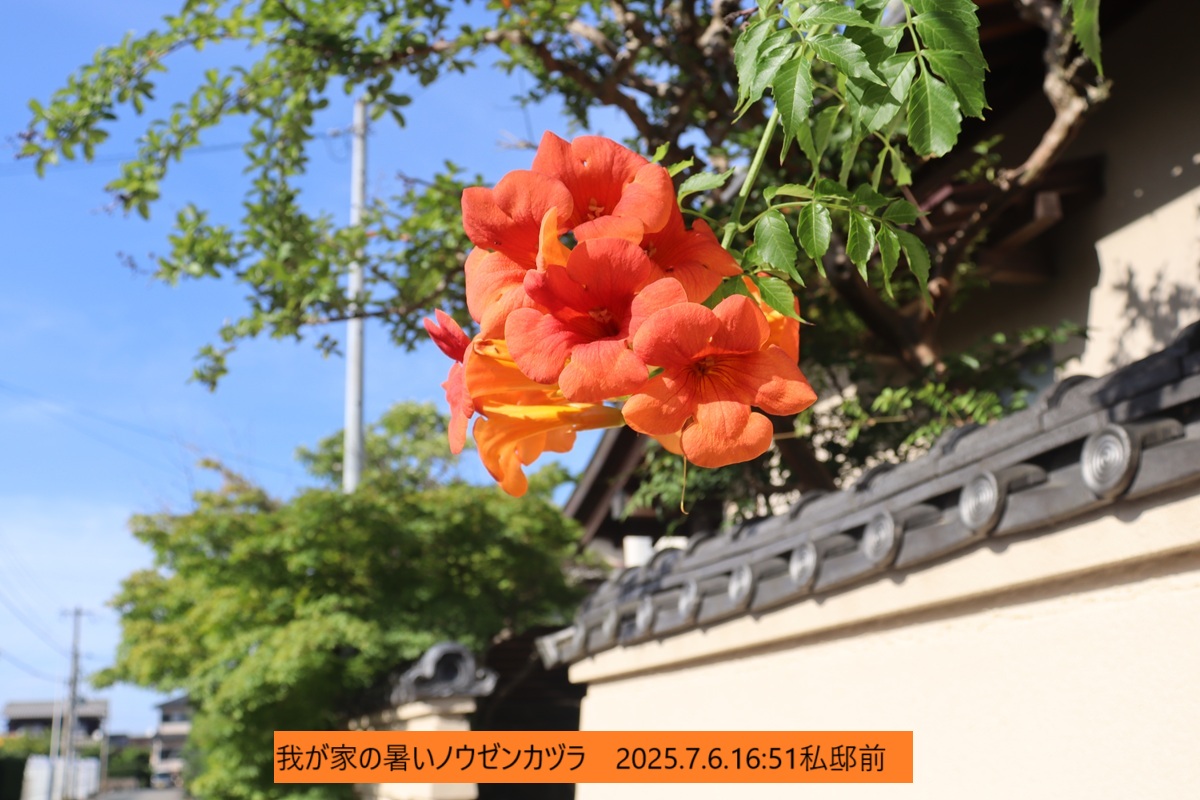 1200x800 (287,352oCg)