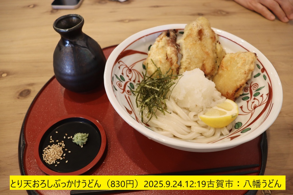 1020x680 (228,022oCg)