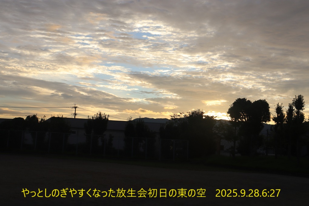 1020x680 (179,803oCg)