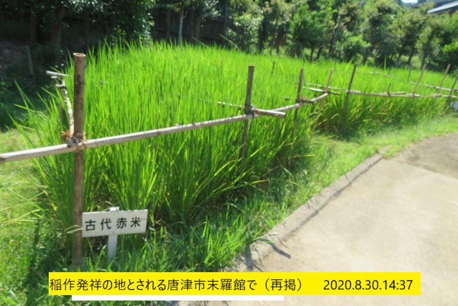 921x615 (229,335oCg)