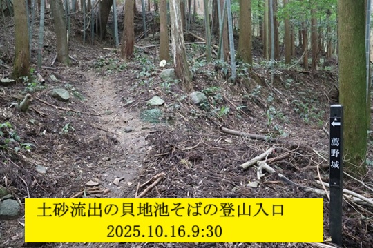 540x360 (141,493oCg)