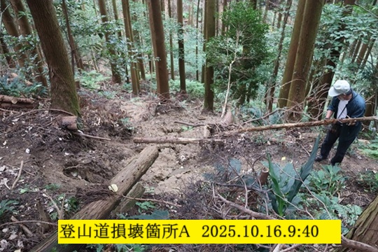 540x360 (151,186oCg)
