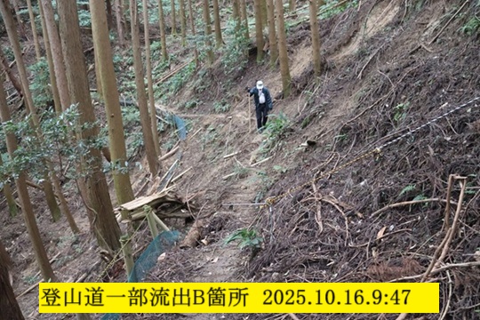 540x360 (148,729oCg)