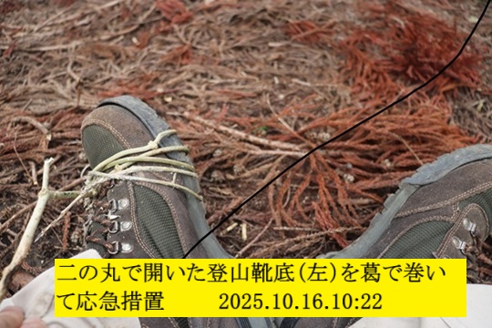 540x360 (124,906oCg)