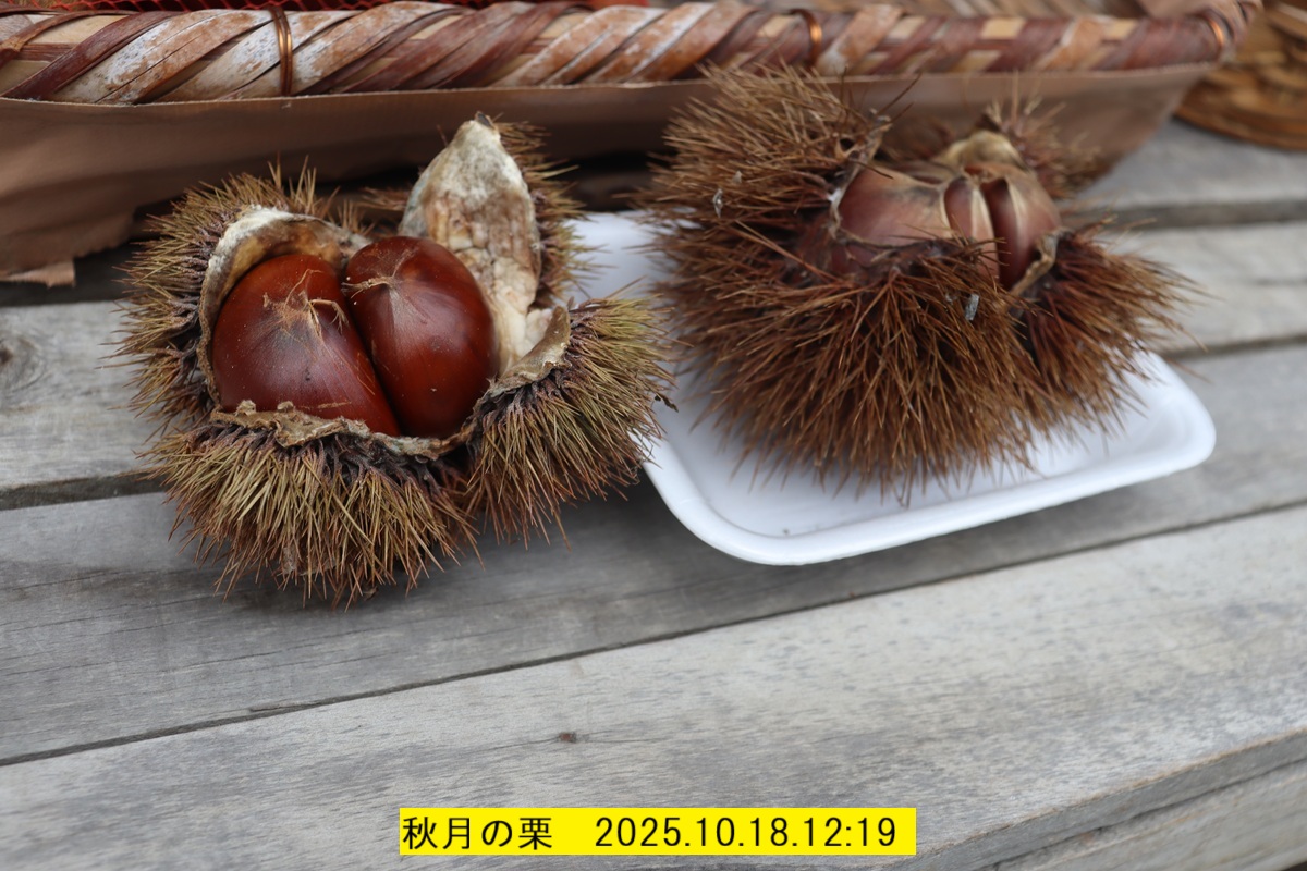 1200x800 (332,200oCg)