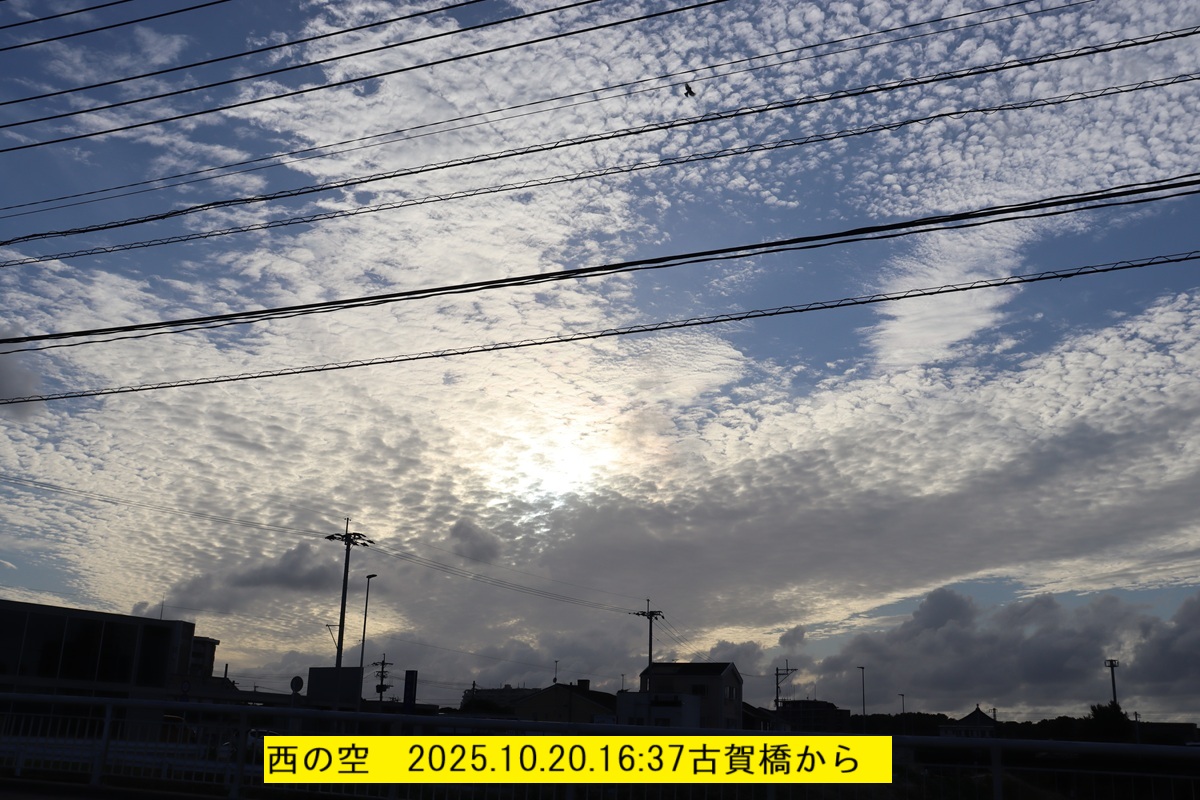 1200x800 (350,258oCg)