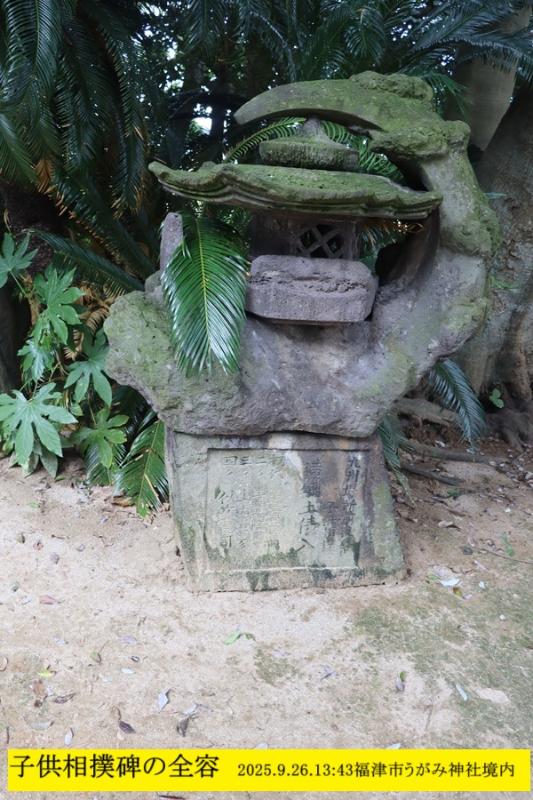 600x900 (297,137oCg)