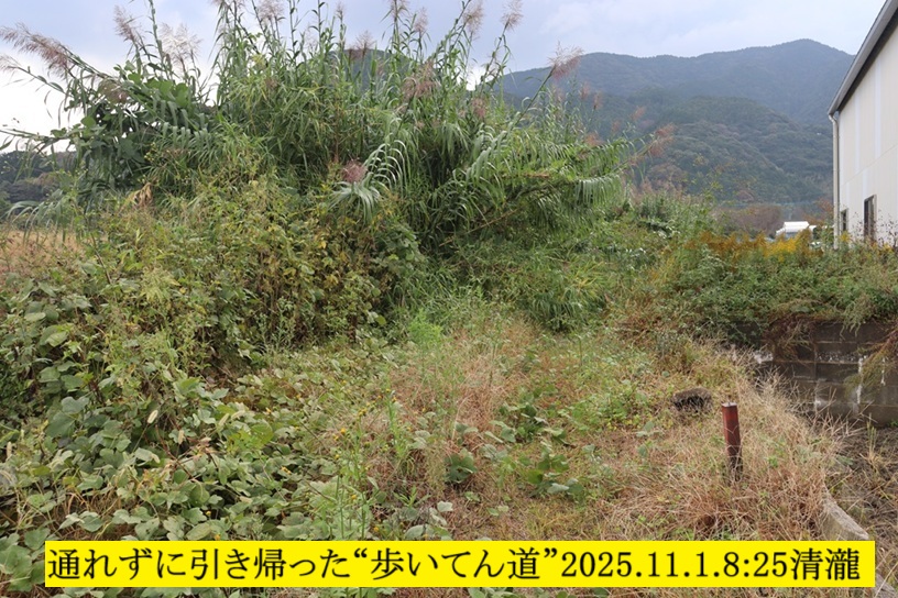 816x544 (283,558oCg)