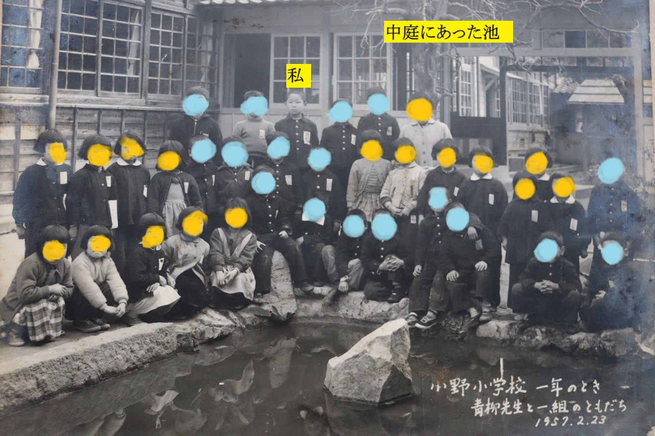 1320x880 (404,959oCg)