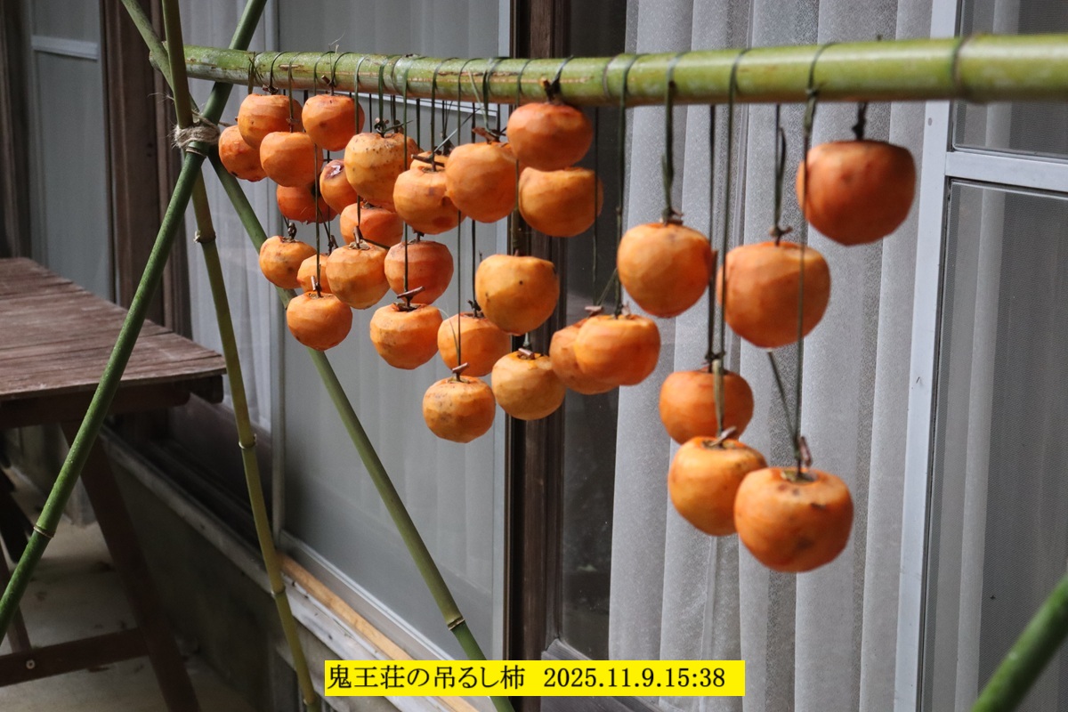 1200x800 (308,189oCg)