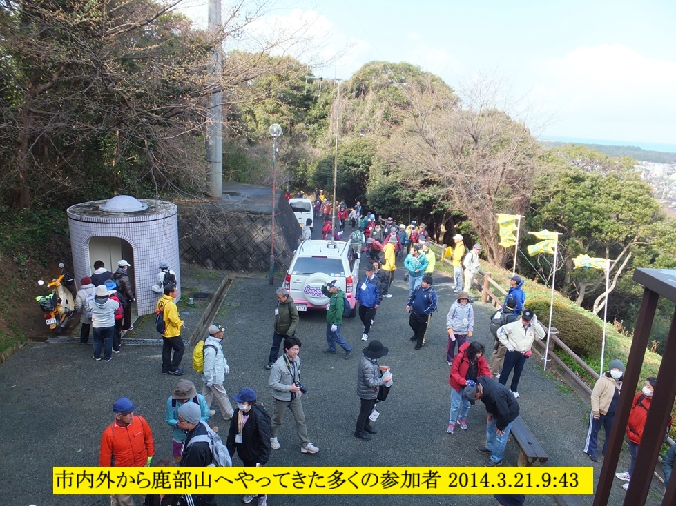 979x734 (394,407oCg)