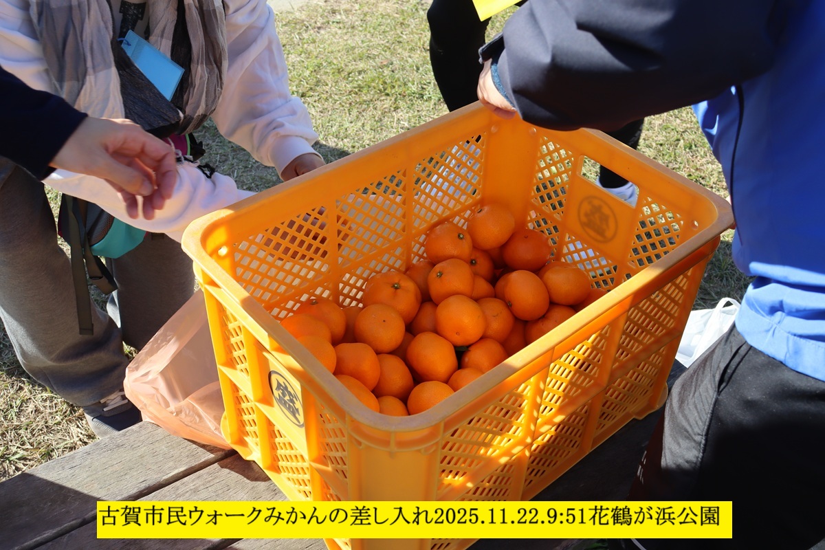 1200x800 (368,267oCg)