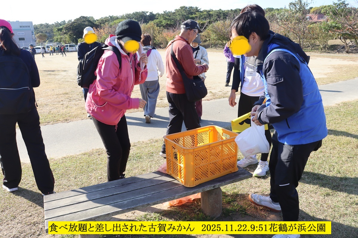 1200x800 (462,748oCg)