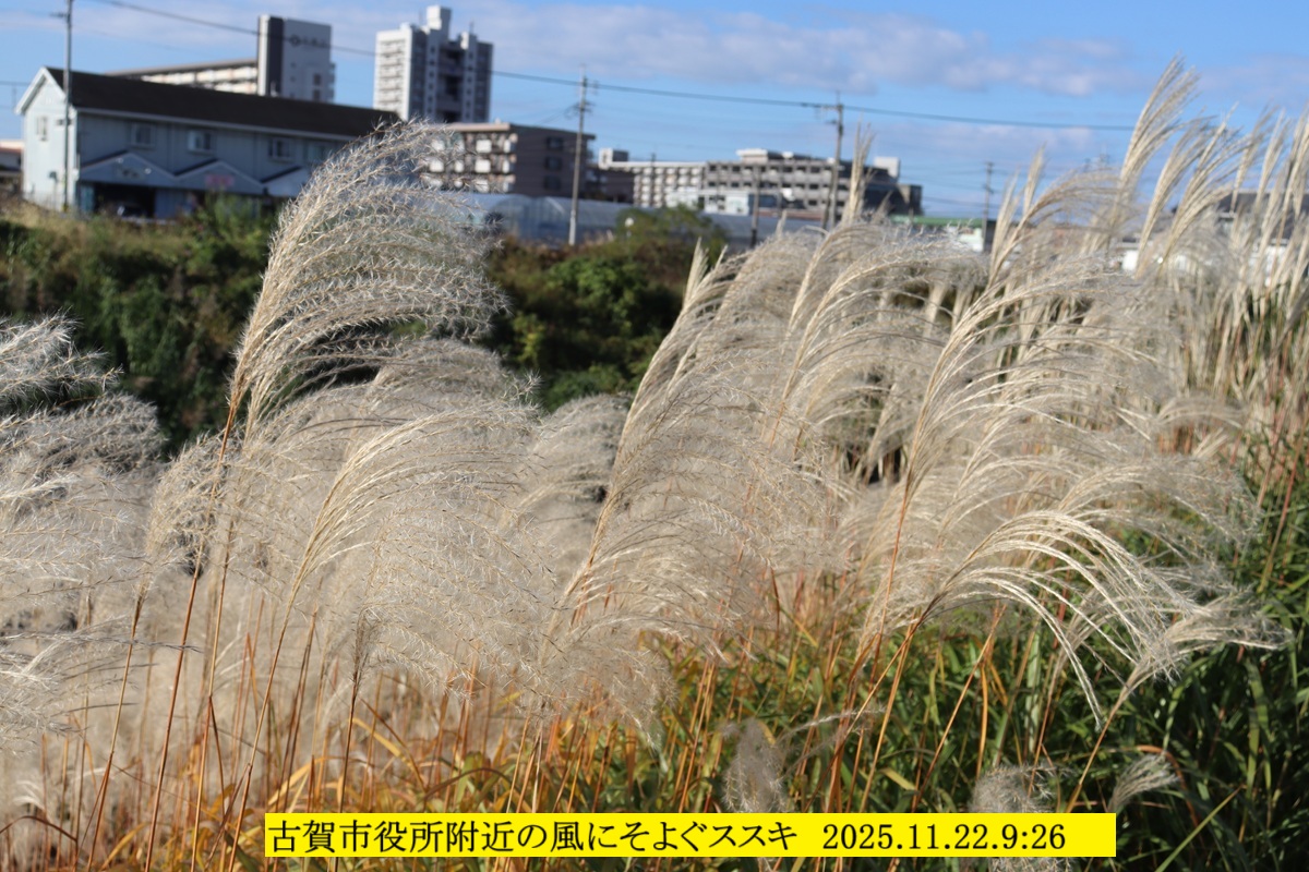 1200x800 (417,646oCg)