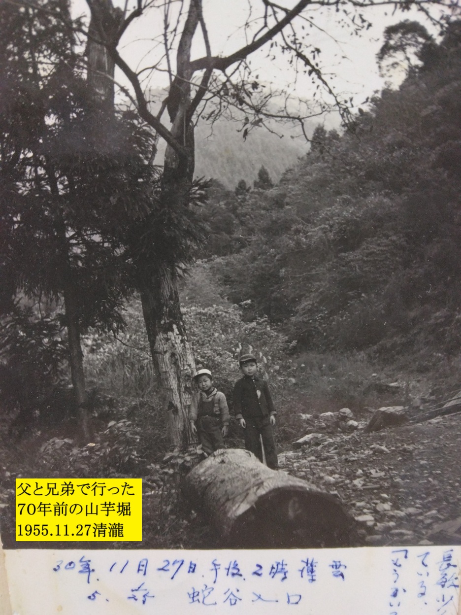 936x1248 (383,079oCg)