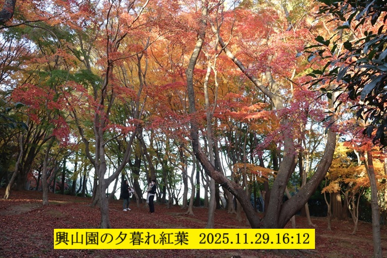 768x512 (283,047oCg)