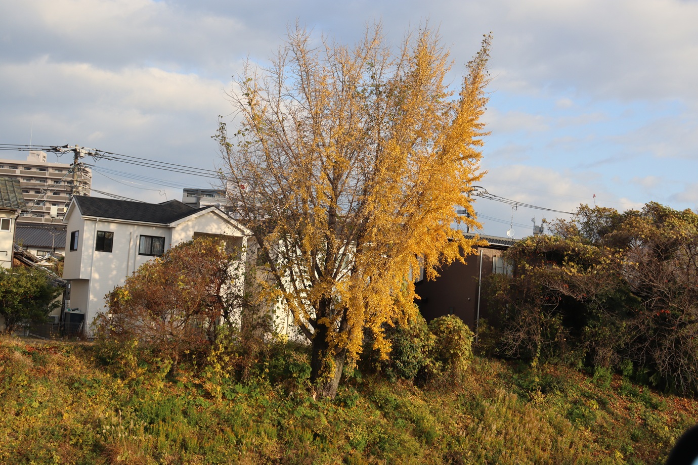 1380x920 (670,274�o�C�g)