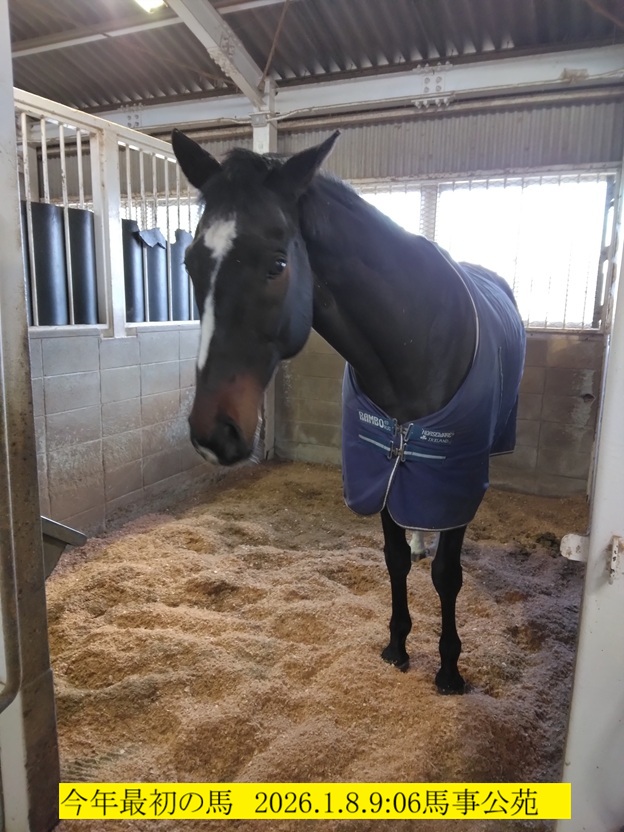 624x832 (187,054�o�C�g)